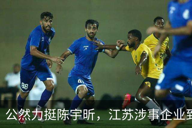 公然力挺陈宇昕，江苏涉事企业到底图个啥